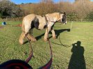 IMG_5598.jpeg