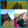photostudio_1766599439108.jpg