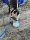 IMG_2834.jpeg IMG_2834.jpeg