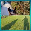 photostudio_1767109142300.jpg