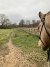 IMG_3008.jpeg