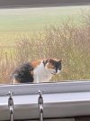 IMG_3484.jpg