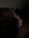 IMG_3042.jpeg