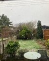 IMG_3113.jpeg IMG_3113.jpeg