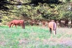 IMG_3204.jpeg