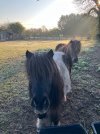 IMG_3272.jpeg