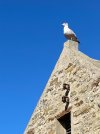 IMG_3759.jpg