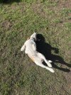 IMG_0430.jpeg