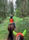 IMG_3603.jpeg