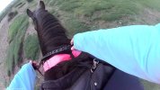 VideoCapture_20260508-135242.jpg