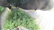 VideoCapture_20260508-165304.jpg