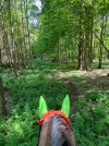 IMG_3627.jpeg