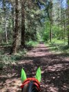 IMG_3629.jpeg
