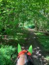 IMG_3635.jpeg