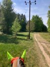 IMG_3649.jpeg