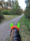 IMG_3672.jpeg