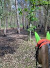 IMG_3686.jpeg