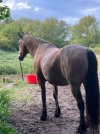 IMG_3698.jpeg