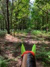 IMG_3713.jpeg
