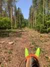 IMG_3716.jpeg