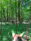IMG_3719.jpeg