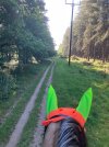 IMG_3727.jpeg