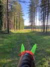 IMG_3729.jpeg