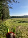 IMG_3732.jpeg
