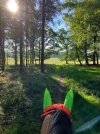 IMG_3739.jpeg