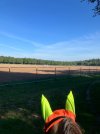 IMG_3742.jpeg