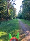 IMG_3745.jpeg