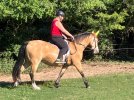 IMG_3763.jpeg