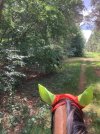 IMG_3776.jpeg