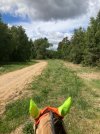 IMG_3777.jpeg
