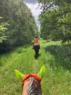 IMG_3780.jpeg