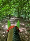 IMG_3806.jpeg