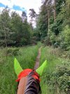 IMG_3809.jpeg