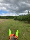 IMG_3813.jpeg
