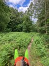 IMG_3816.jpeg