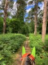 IMG_3820.jpeg