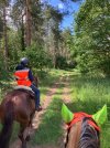 IMG_3822.jpeg
