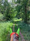 IMG_3823.jpeg