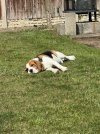 IMG_0598.jpeg