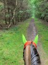 IMG_3844.jpeg
