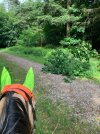 IMG_3845.jpeg