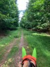IMG_3846.jpeg