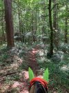 IMG_3847.jpeg