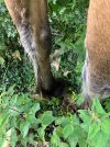 IMG_3862.jpeg