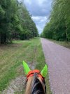 IMG_3882.jpeg IMG_3882.jpeg
