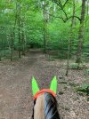IMG_3894.jpeg IMG_3894.jpeg